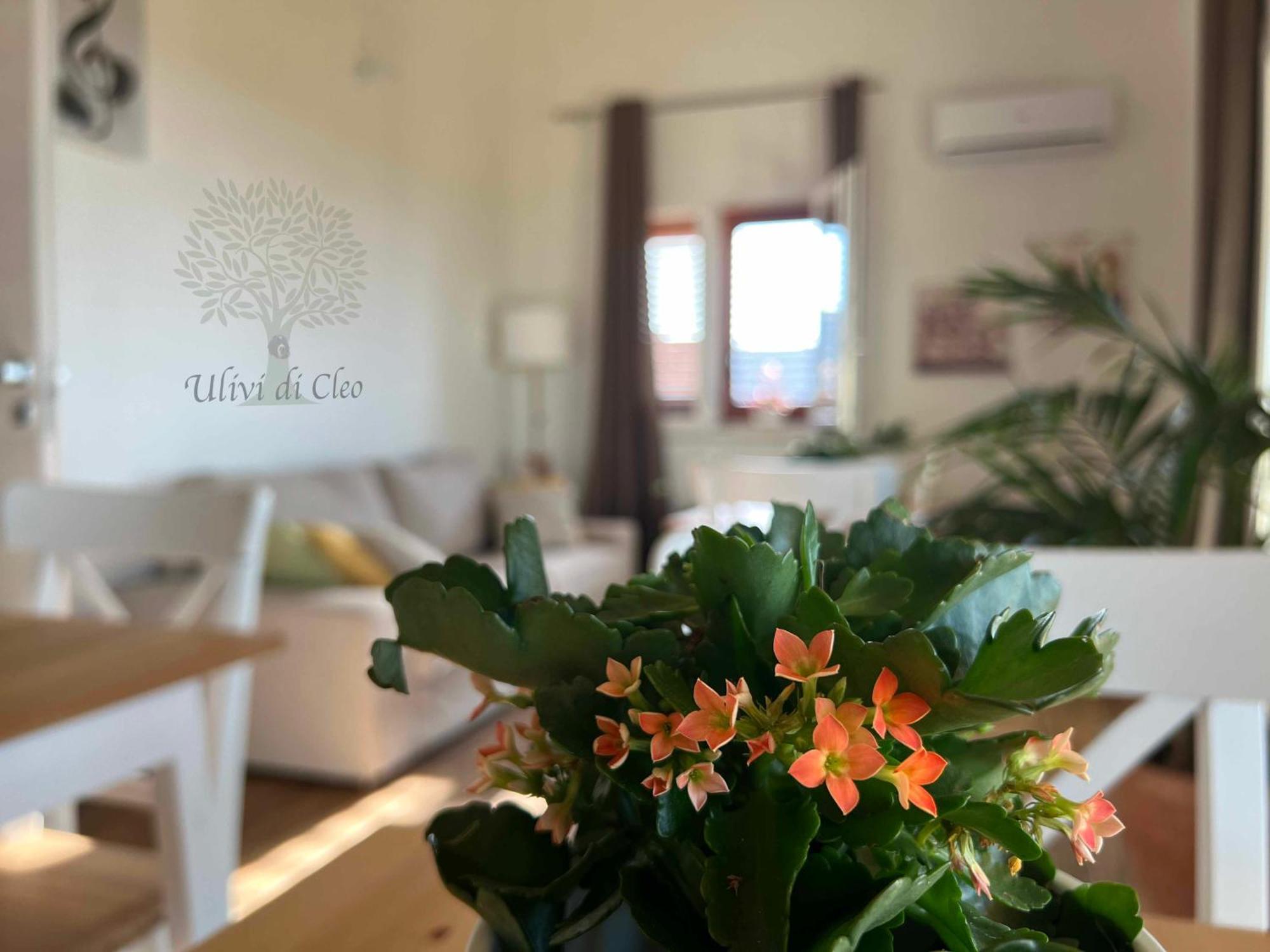 Ulivi Di Cleo Guest House Realmonte Eksteriør bilde